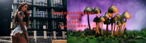 2c-b Баксан