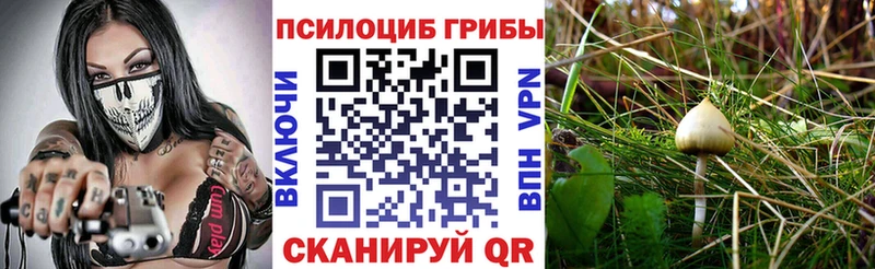 Галлюциногенные грибы мицелий  Озёры 